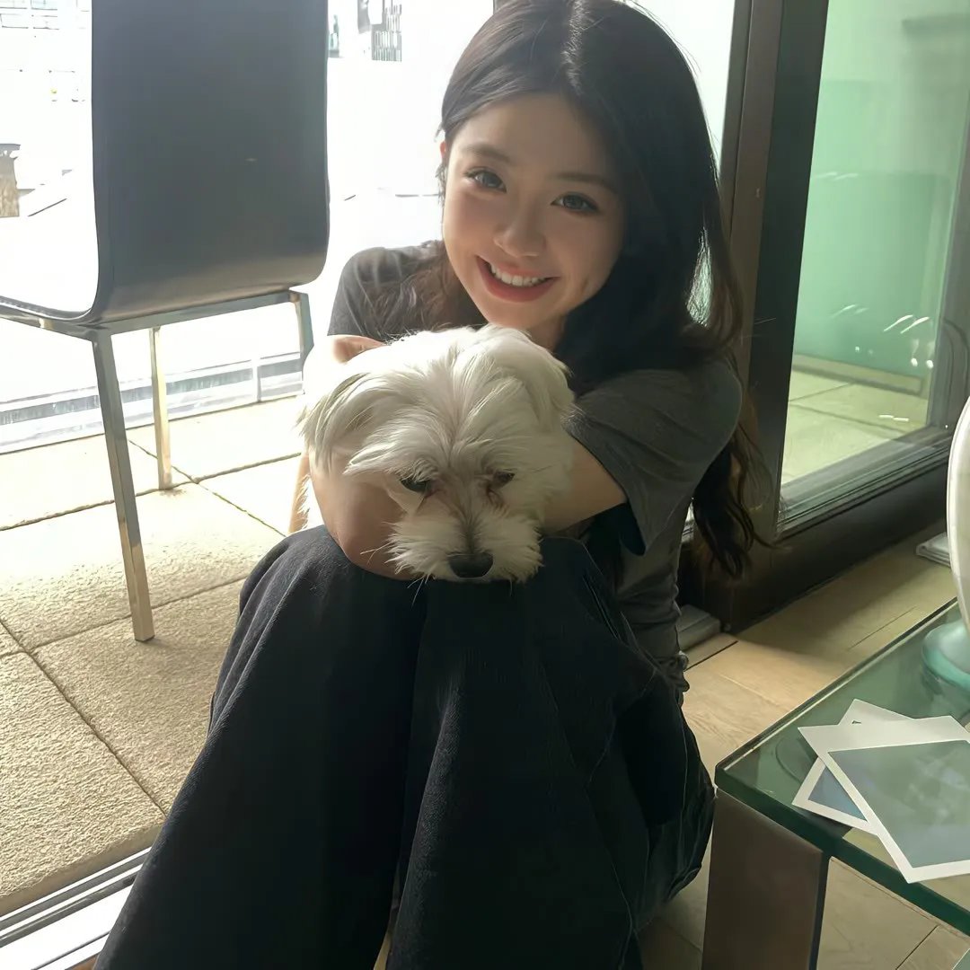 兔子的月亮 海报